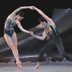 jr_dgv_bussell_avis_armcircle_500