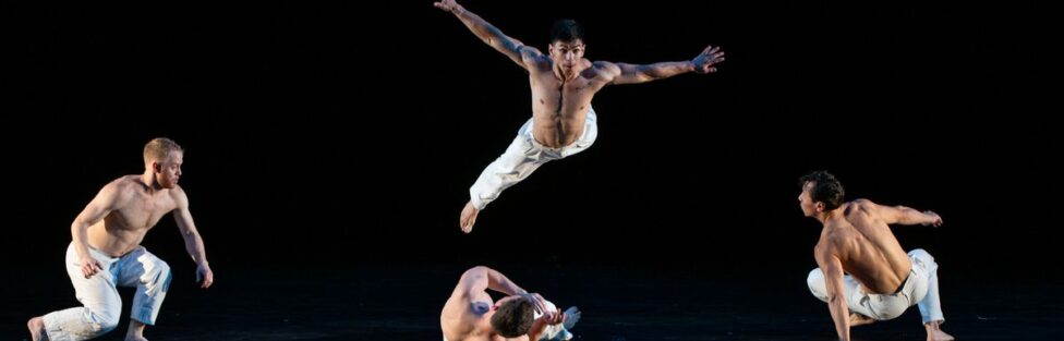 VIEWPOINTS – Dance roundup: PILOBOLUS kicks off its summer stint at The Joyce, a first look at LINCOLN CENTER CONTEMPORARY DANCE FESTIVAL
